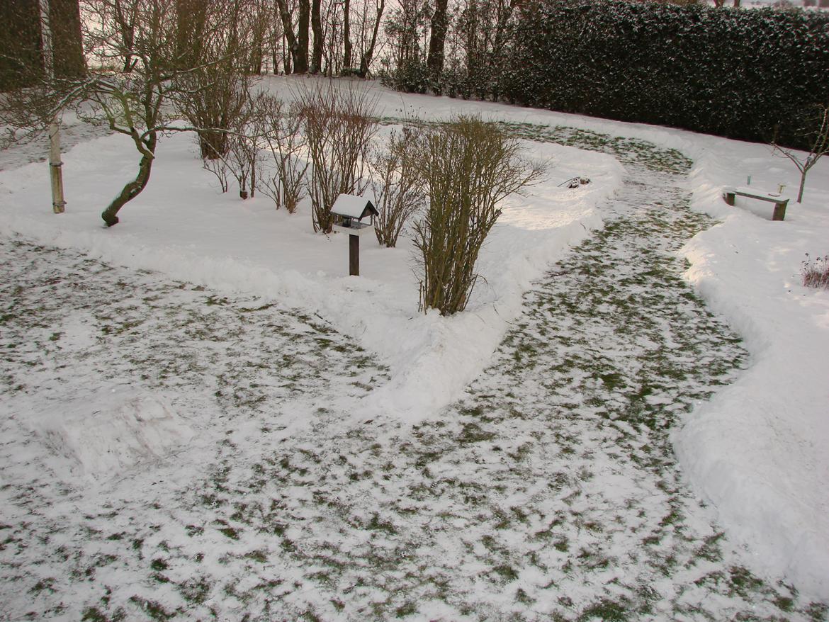 Off-Roader Arrma Kraton BLX 6s - v4 billede 20