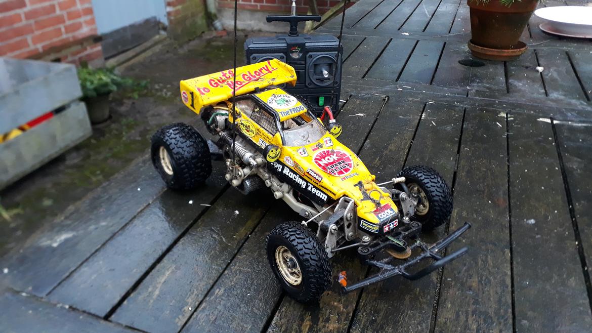 Buggy Tamiya The Frog (58041) billede 1