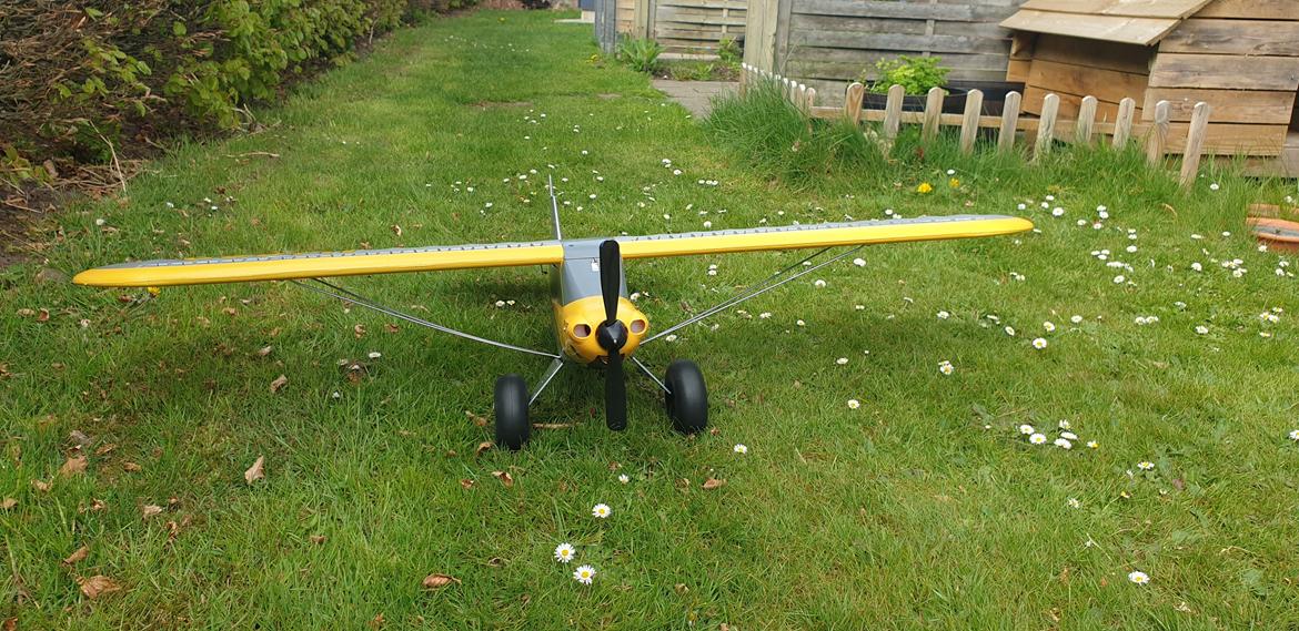 Fly Carbon Cub S2 1,3m  RTF With SAFE Technology  billede 1