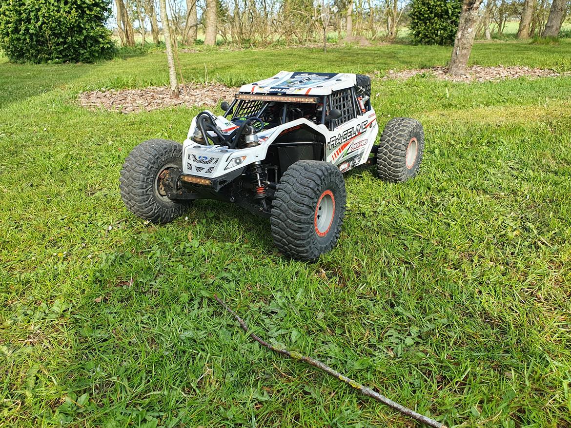 Buggy Losi super rock rey 1/6 billede 1