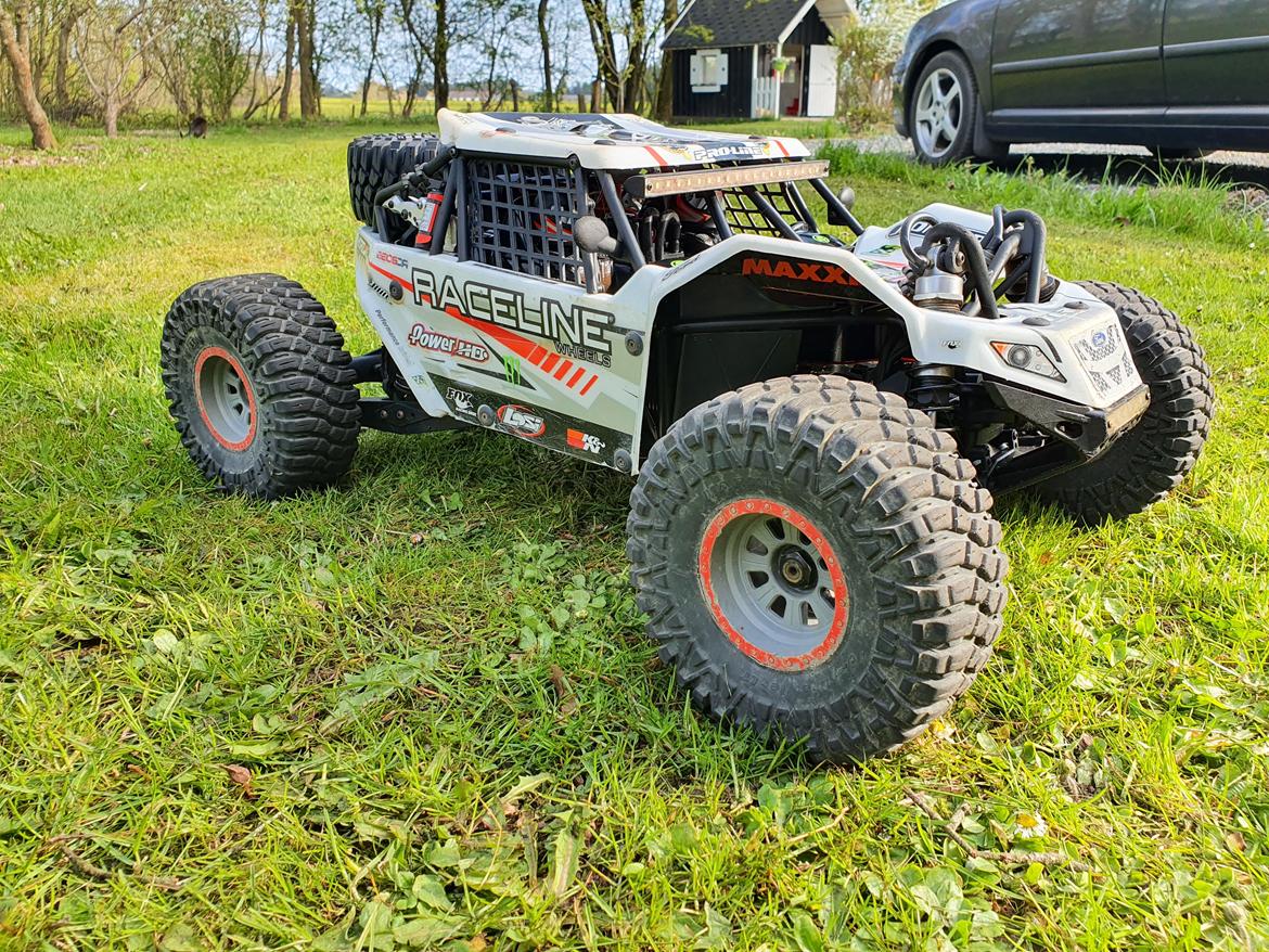 Buggy Losi super rock rey 1/6 billede 3