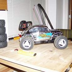 Buggy Tamyia blitzer beetle