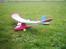 Fly Wingo