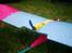 Fly Wingo