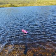 Båd Traxxas Disruptor