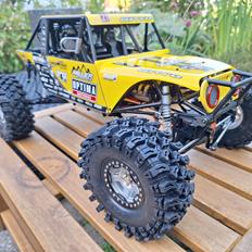 Buggy Rc4wd millersport