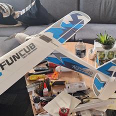 Fly Fun cub ng