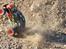Bil Tamiya blitzer beetle 