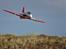 Fly Avanti S80 Freewing - Ser super cool ud