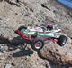 Buggy tamiya Grasshopper 