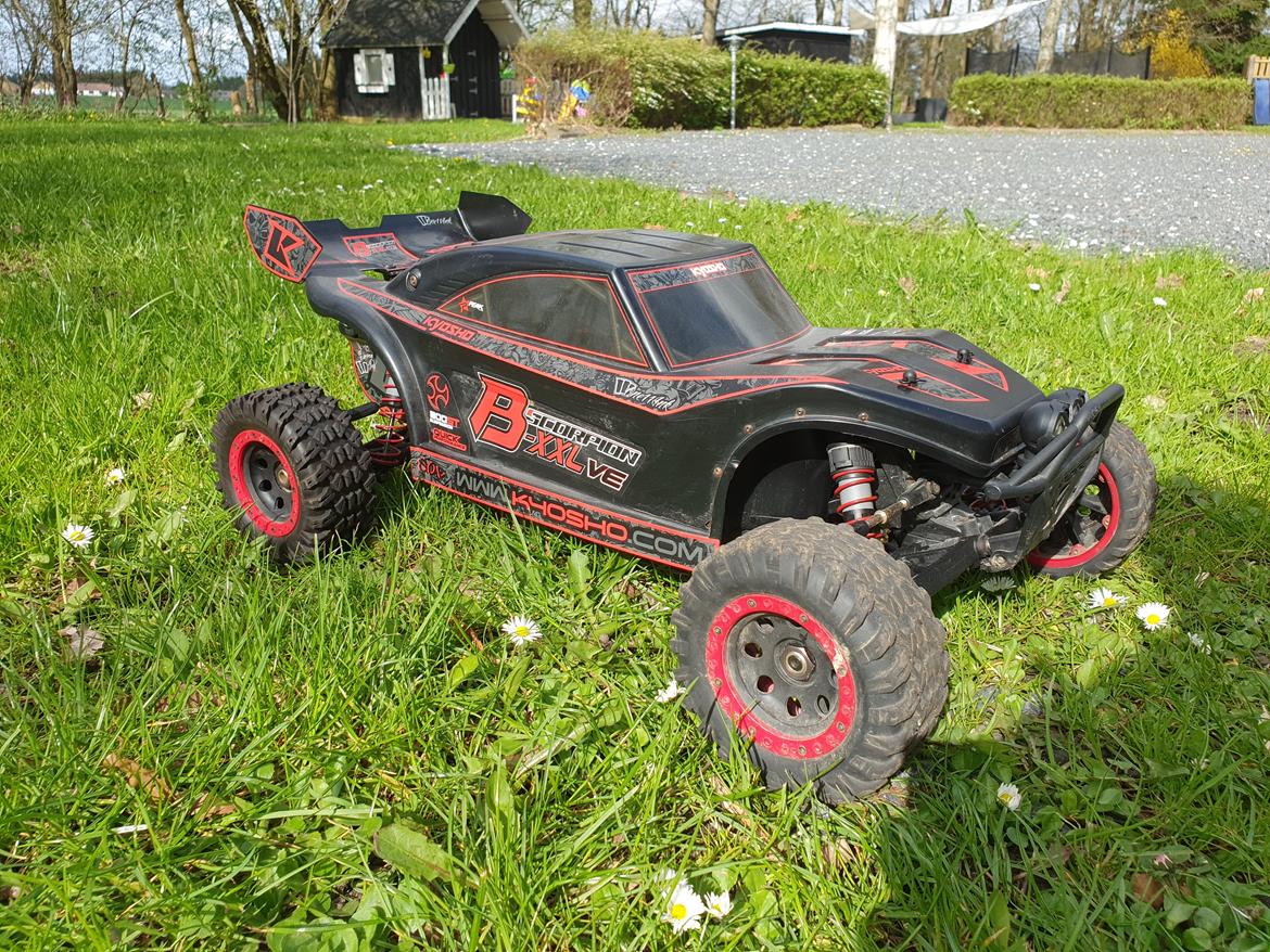 Buggy Kyosho scorpion b-xxl ve billede 2