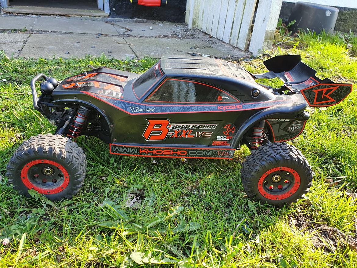 Buggy Kyosho scorpion b-xxl ve billede 9