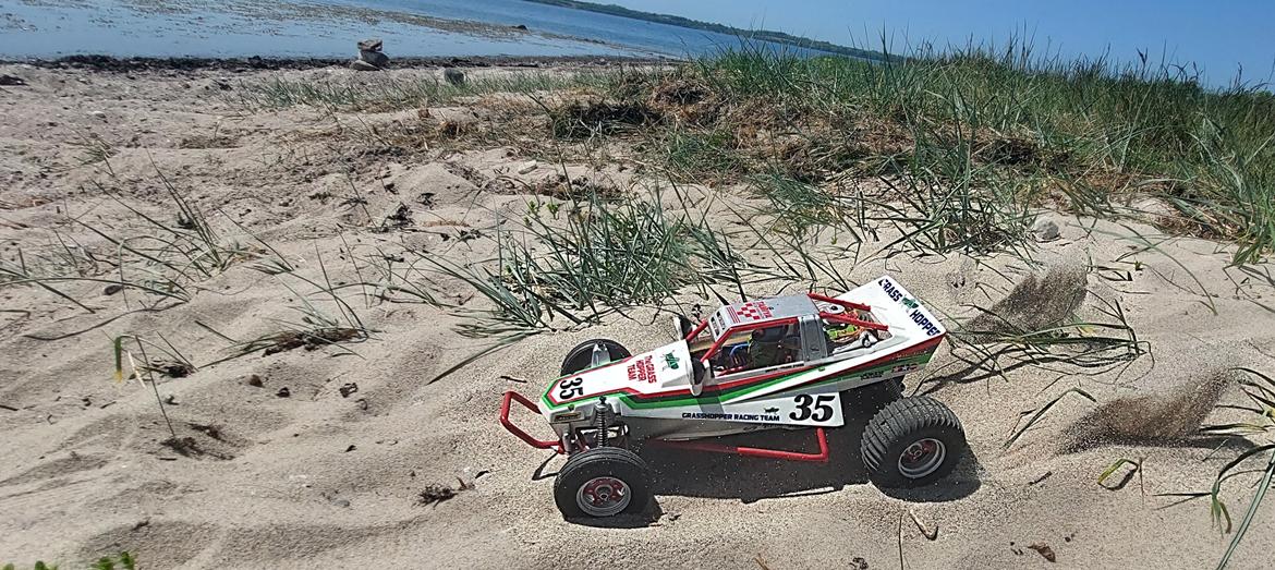 Buggy tamiya Grasshopper  billede 5