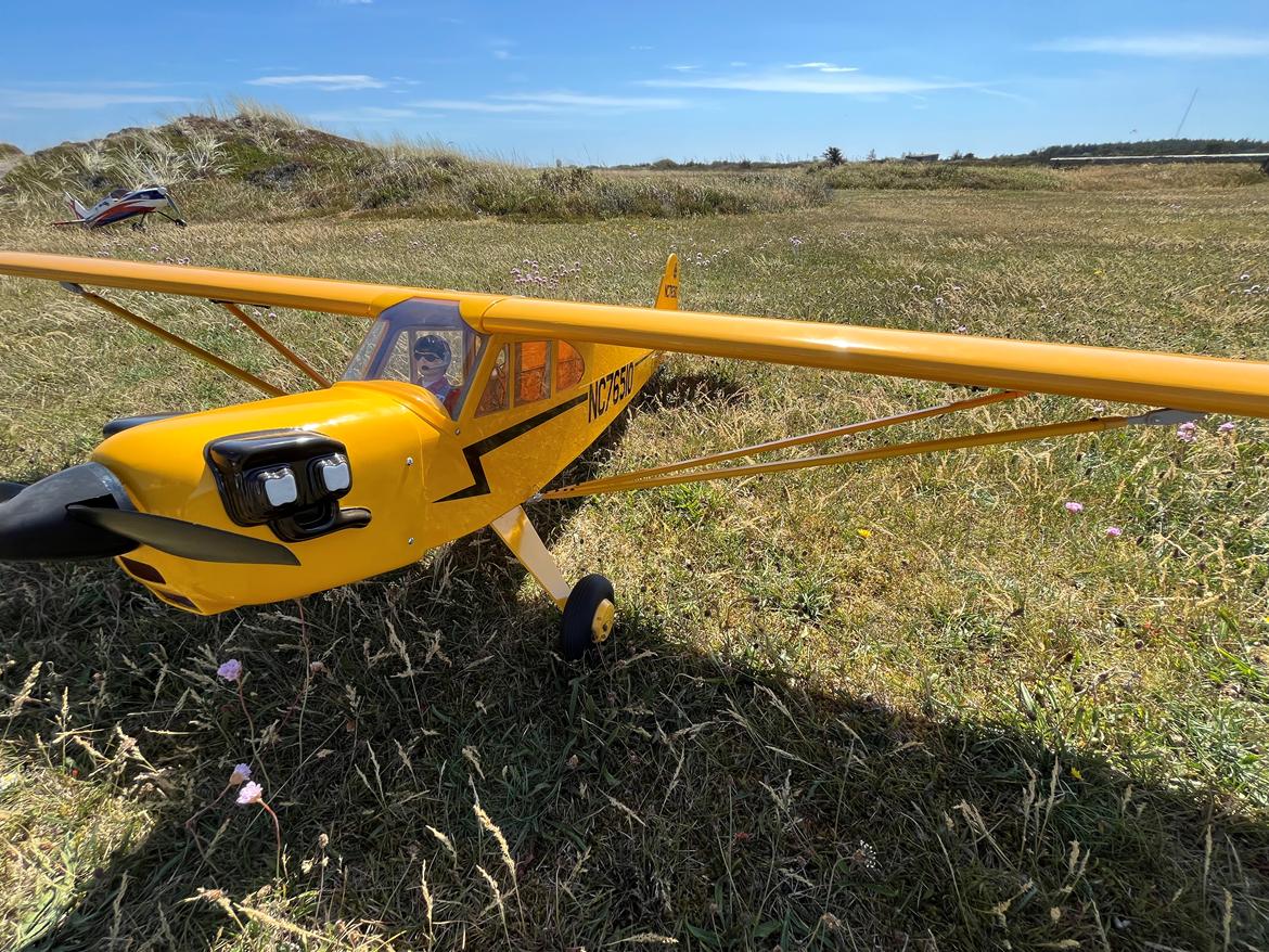 Fly Piper J-3 Cub billede 32