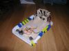 Fly Hovercraft