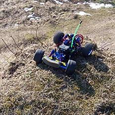 Off-Roader Team Losi Mini-T 