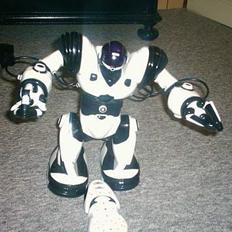 Robot Robosapien