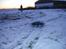 Off-Roader Traxxas T-maxx TRX 2,5 - Her er der fart over feltet!