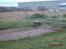 Truck T-maxx ** solgt**