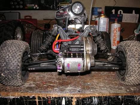 Buggy Griffin #R.I.P# billede 2