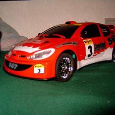 Bil peugeot 206- rallycross