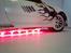 Bil Peugeot 206 WRC custom - her er mit neon tændt.