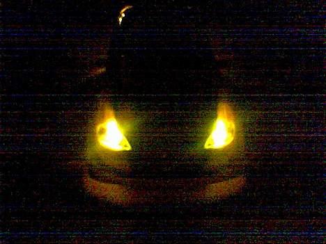 Bil Opel V8 DTM (Astra G)  - Taget med 6230, da mit digikamera gør det meget værre end mobilen. billede 20