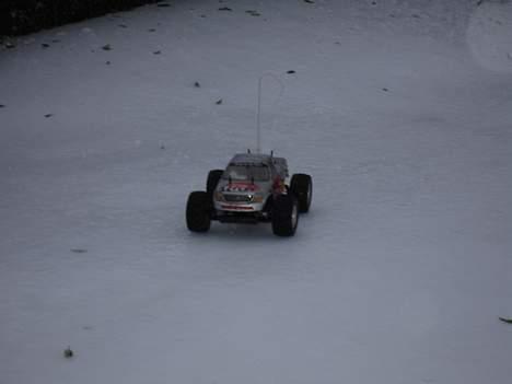 Off-Roader Cross tiger - Mere Bambi billede 19