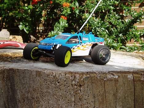 Off-Roader Team Losi Mini-T billede 6