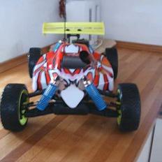 Buggy  ZX-1 RTR TEAM HUNDESTED