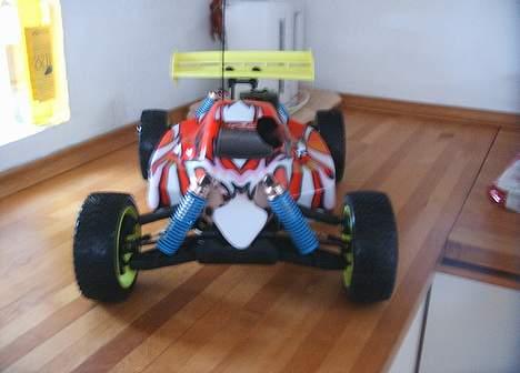 Buggy  ZX-1 RTR TEAM HUNDESTED billede 2