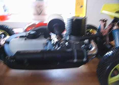 Buggy  ZX-1 RTR TEAM HUNDESTED billede 4