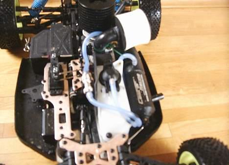 Buggy  ZX-1 RTR TEAM HUNDESTED billede 6