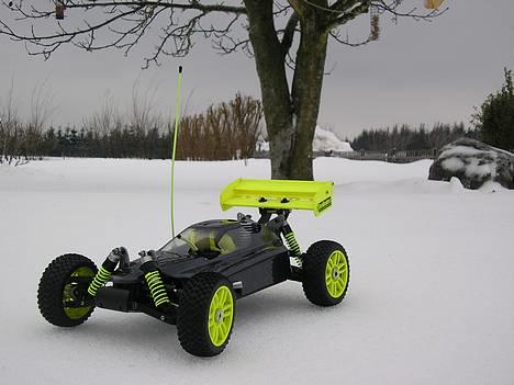 Buggy GVmodels Rex-X billede 2