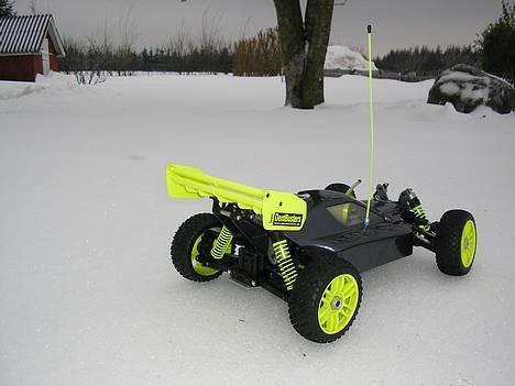 Buggy GVmodels Rex-X billede 4