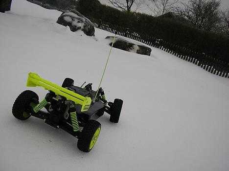 Buggy GVmodels Rex-X billede 5