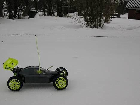 Buggy GVmodels Rex-X billede 7