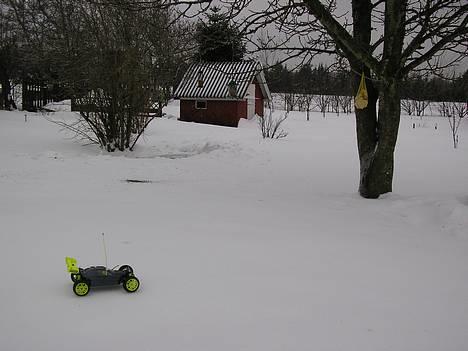 Buggy GVmodels Rex-X billede 9