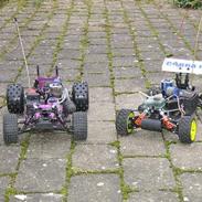 Buggy great vigor cobra 2