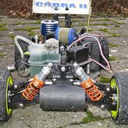 Buggy great vigor cobra 2