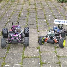 Buggy great vigor cobra 2
