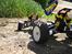 Buggy Tamiya Dirt Thrasher