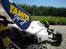 Buggy Tamiya Dirt Thrasher - Vingen..