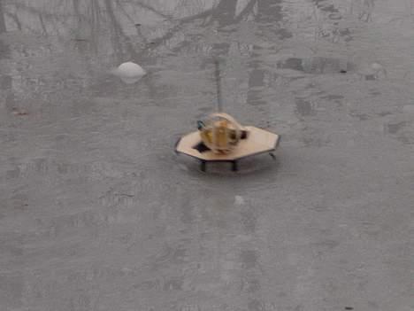 Bil Hjemmelavet Hovercraft billede 11