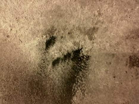 Buggy Speed Bazooka - Brander :) billede 9