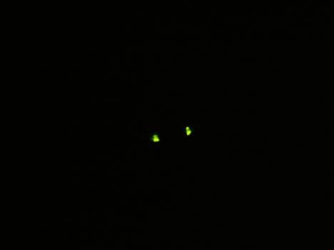 Bil toyota supra    - forlygterne billede 12