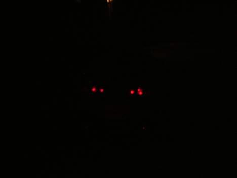 Bil toyota supra    - baglygterne billede 13