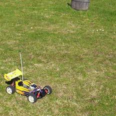 Buggy Winner sport (smartech)