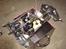 Buggy FG Marder