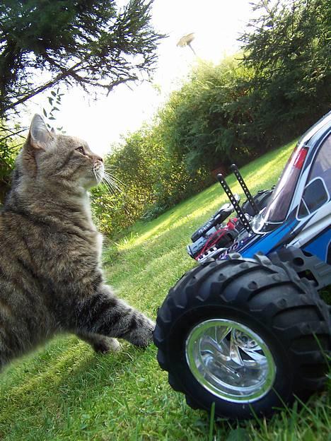 Off-Roader HBX BONZER BIG FOOT billede 16